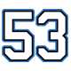 53