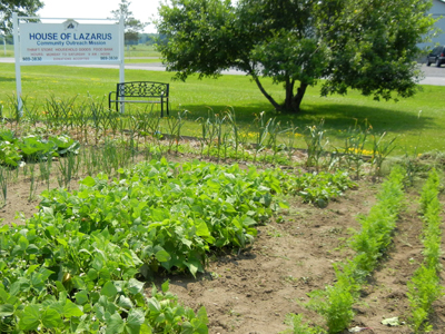 All Things Food wants to learn about your Community Garden