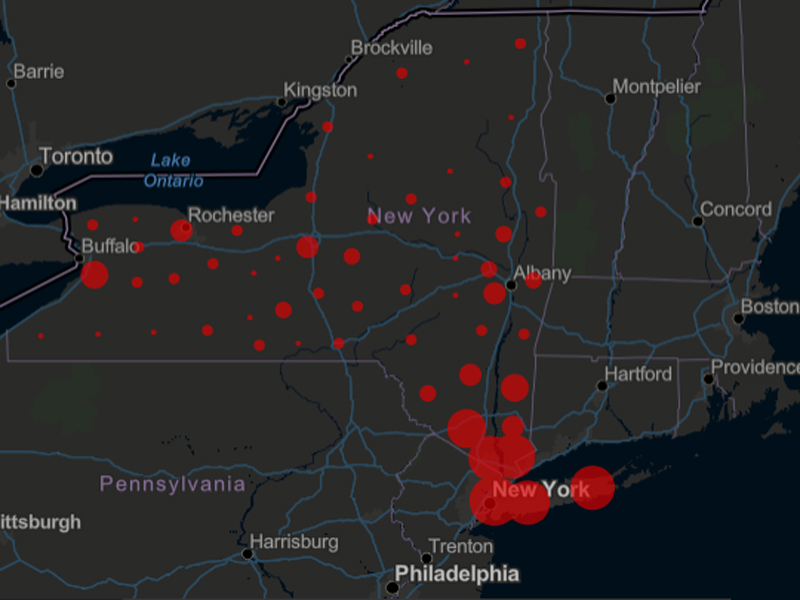 State of New York surpasses China for number of confirmed COVID-19 cases