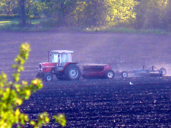 Local farmers take advantage of fabulous weather