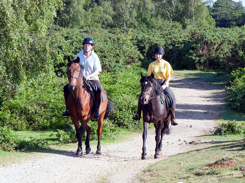 ERCA reminding equestrians of spring thaw trail use