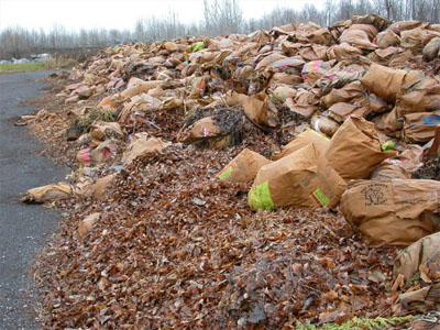Over 900 tonnes of leaf and yard waste collected in 2011