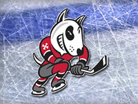 Graham Named 5th Captain in Niagara IceDogs History‏