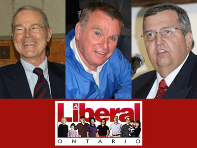 Local Liberals will choose candidate on June 13th