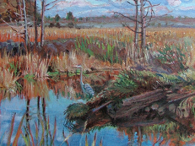 Art and Science in the South Nation Watershed