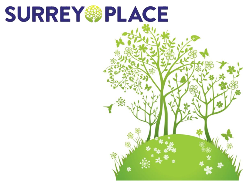 Ontario Autism Program – Surrey Place Position Statement