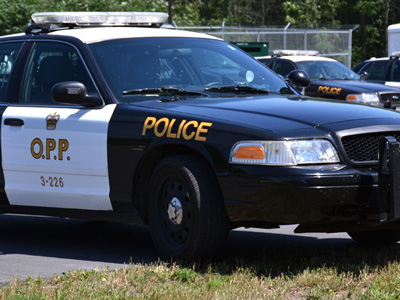 OPP investigating a vehicle theft in Alexandria