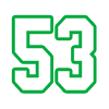 53
