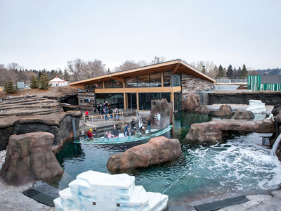Edmonton Valley Zoo recognized for outstanding Arctic Shores exhibit
